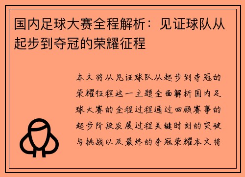 国内足球大赛全程解析：见证球队从起步到夺冠的荣耀征程